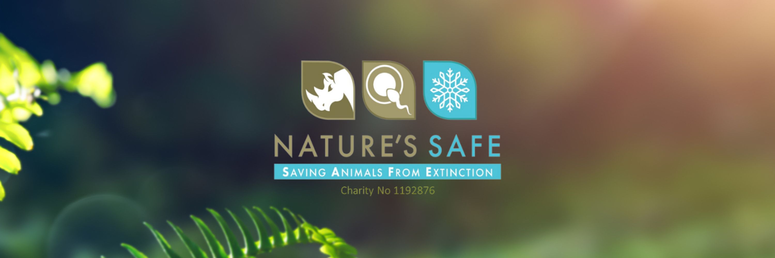 Nature's SAFE