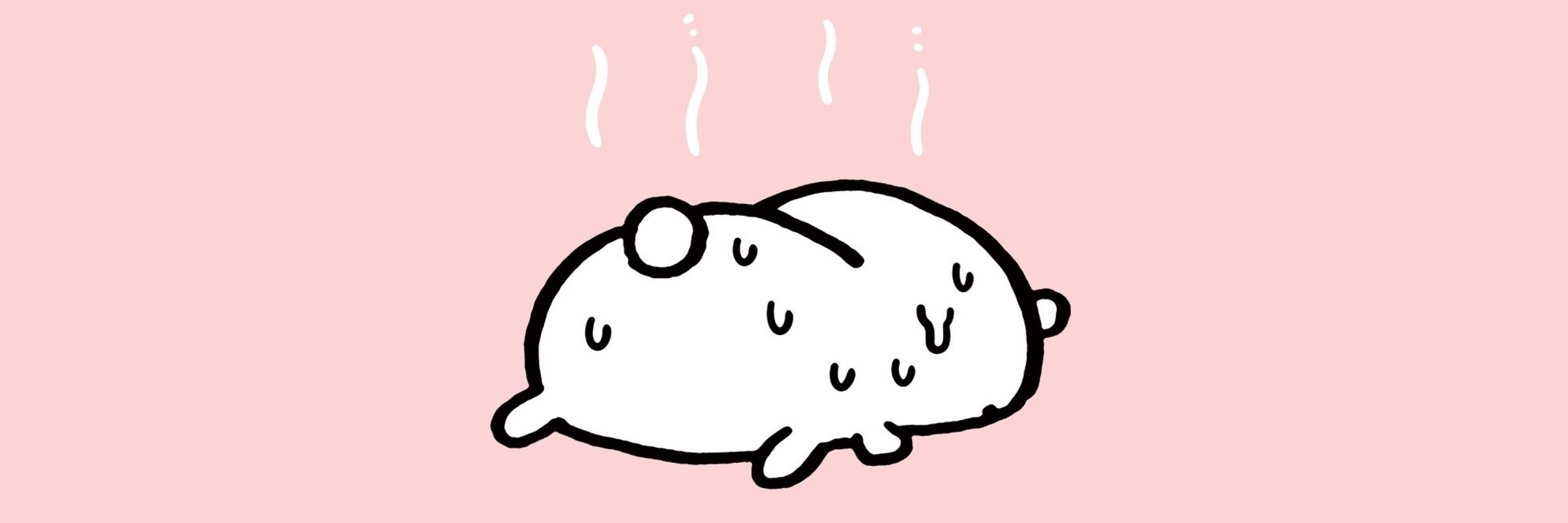바질 키우기