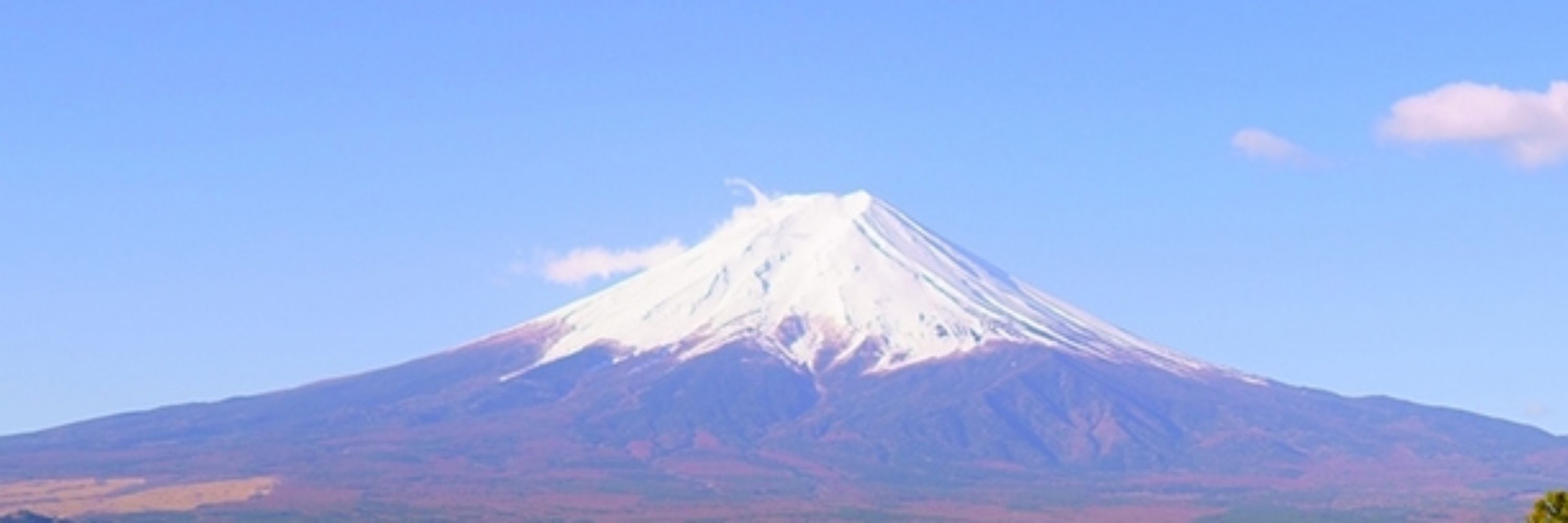 ふじすけ