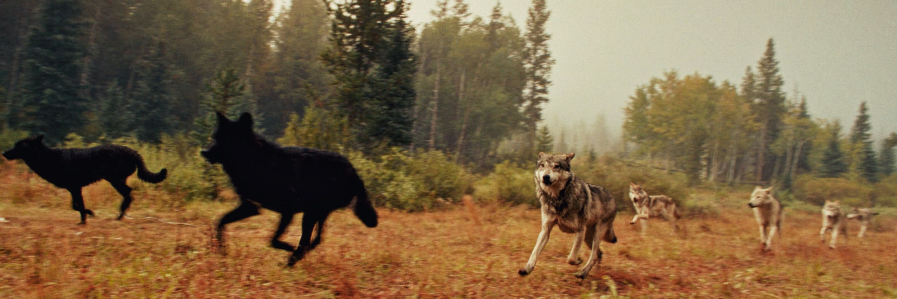 Howl Kilmer