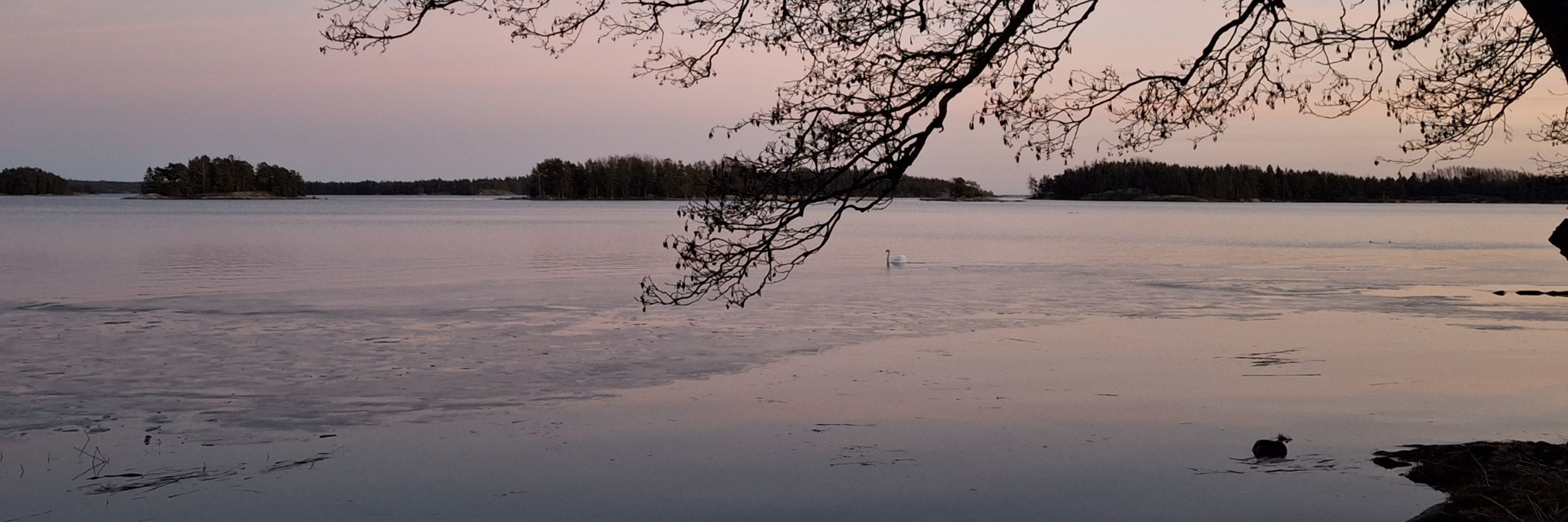 Terttu Mämmelä