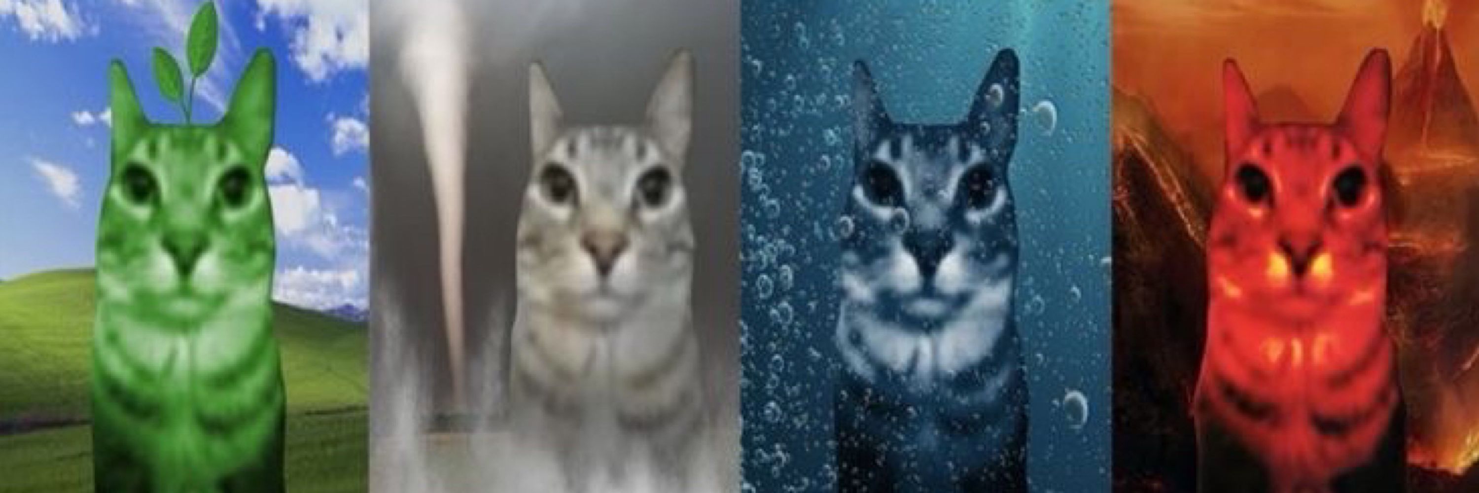 ????