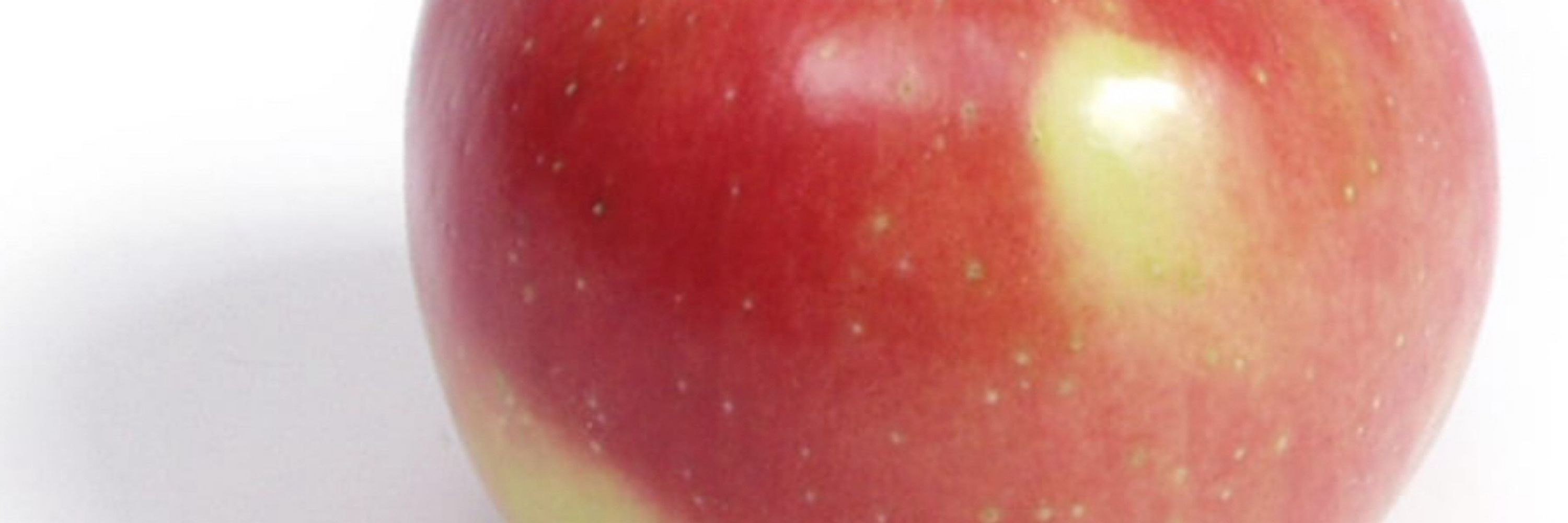 AppleTarts🍽️🍷