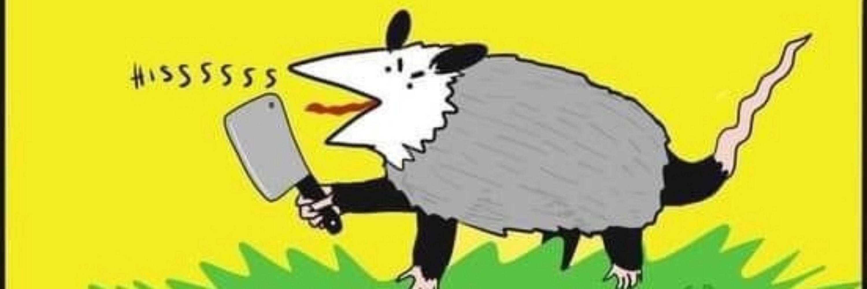 Mr. theMoon