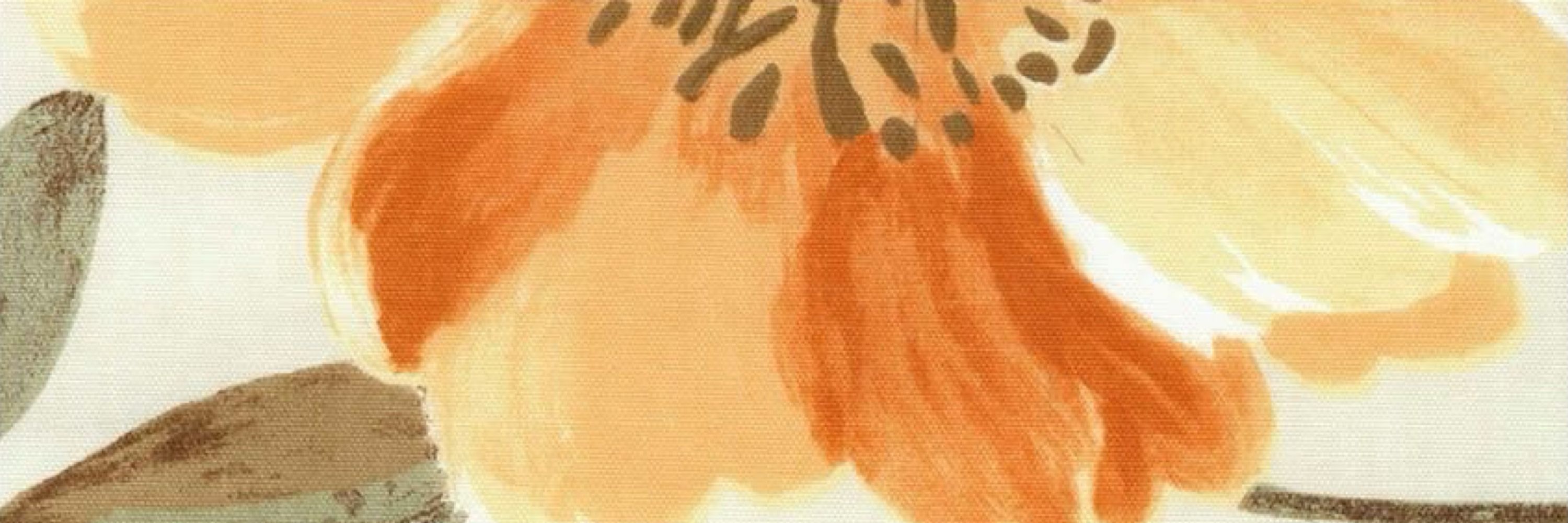 danny kurosaki da silva
