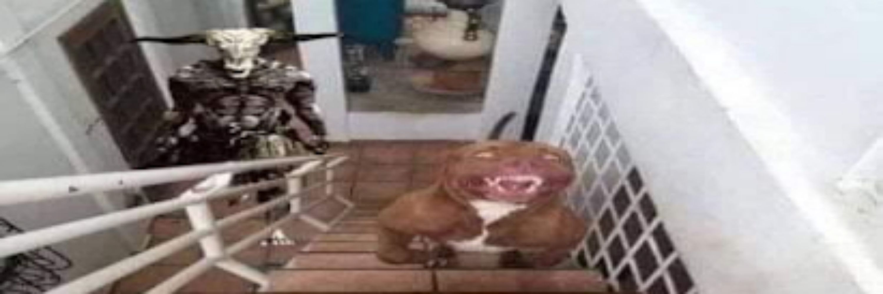 Peu