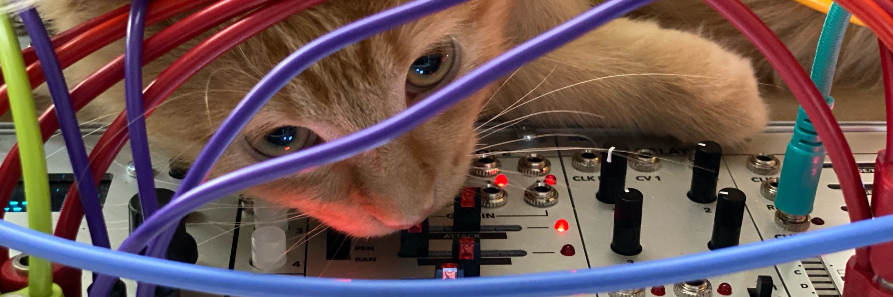 🎛️ Daniel Dehaan 🔊