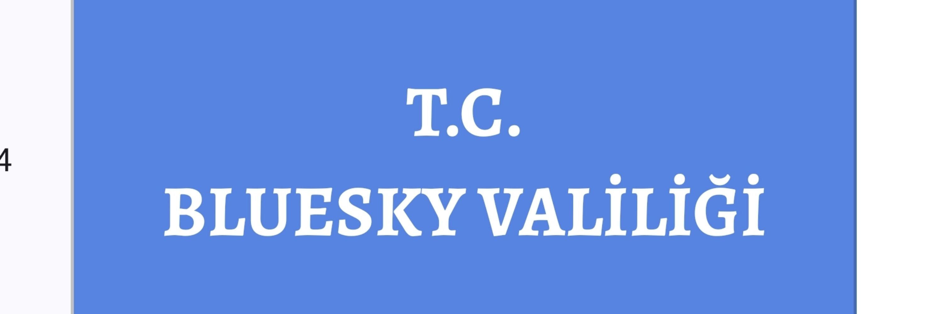 VALİ BEY
