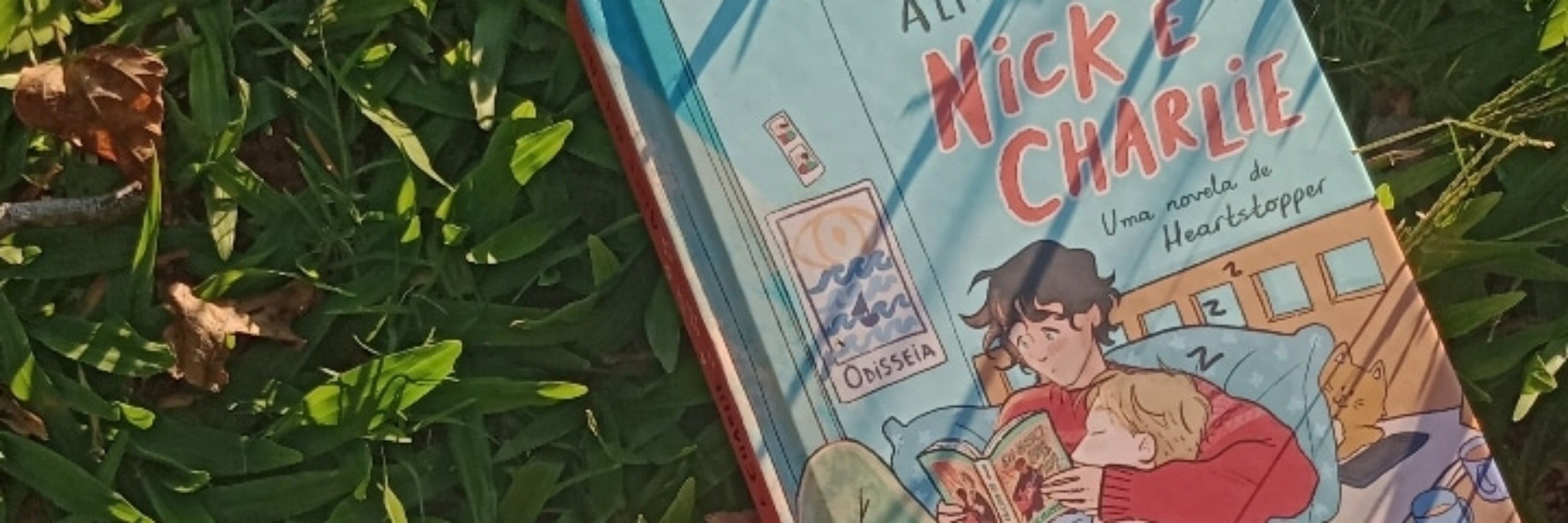 Aninhaa