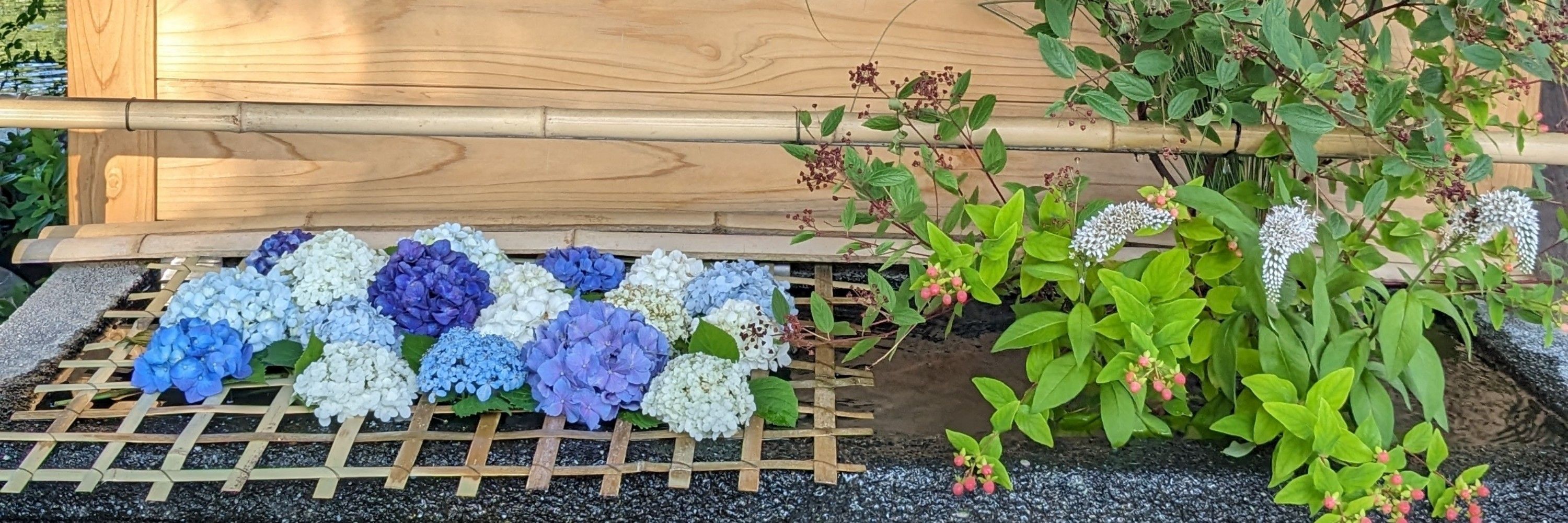 白かりんとう