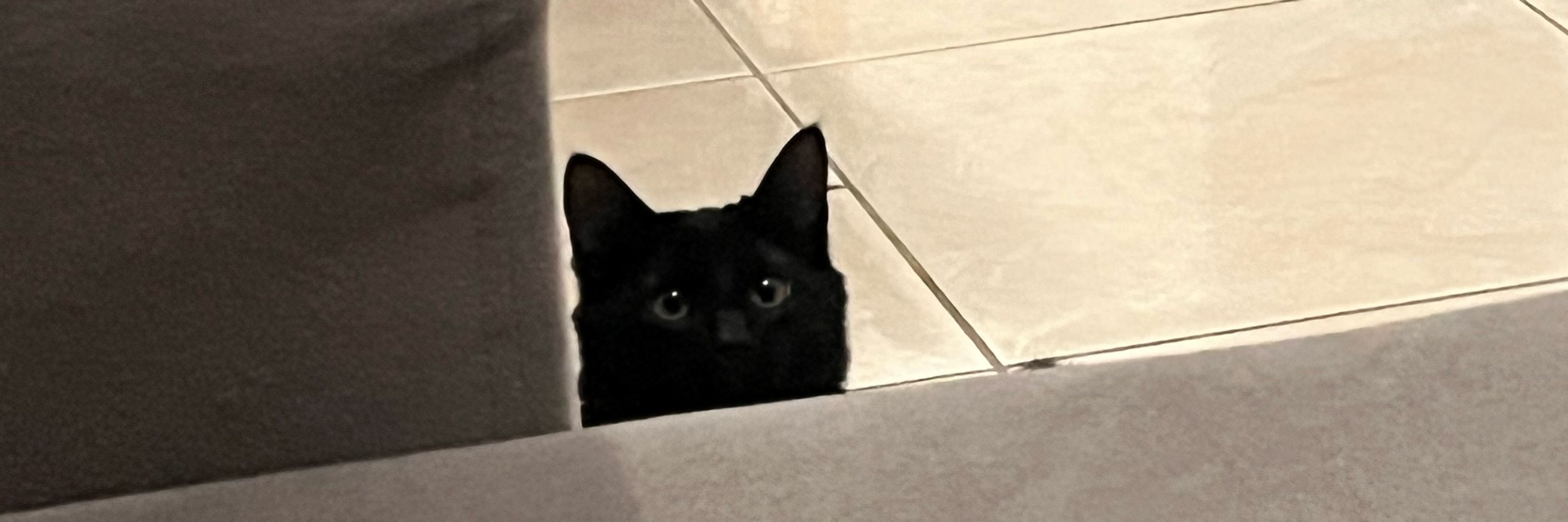 lilyszz