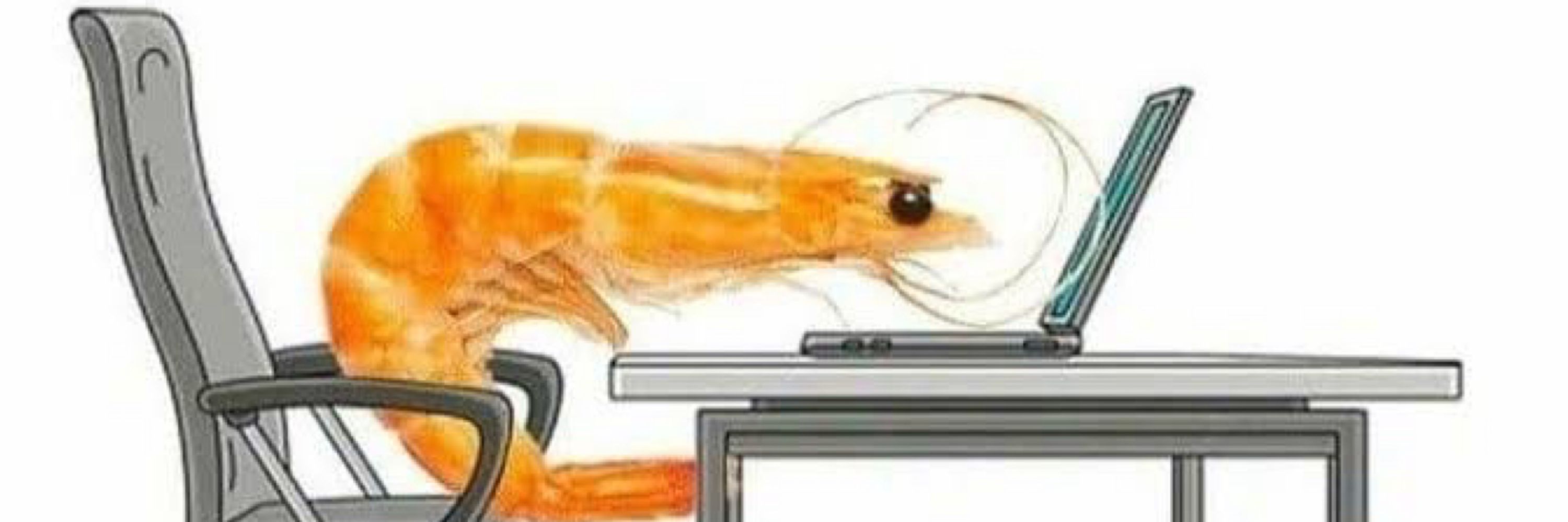 สมมุติว่าผมชื่อแจน