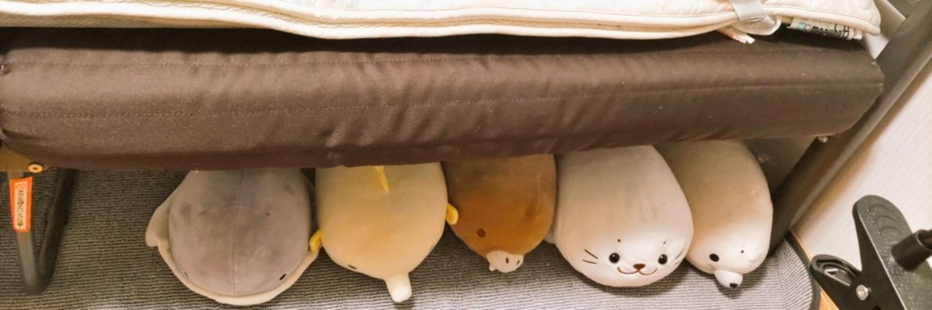 ブン