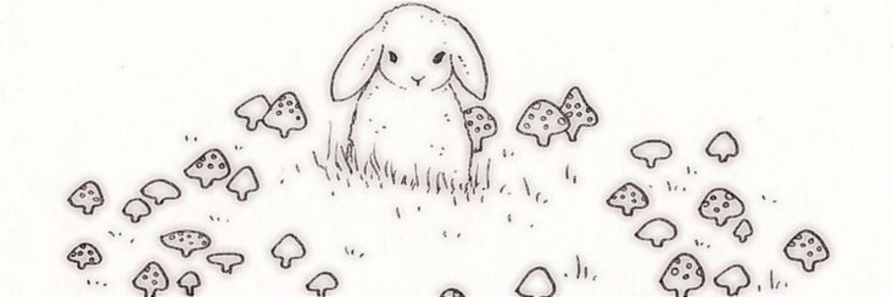 (n)ana 🐇