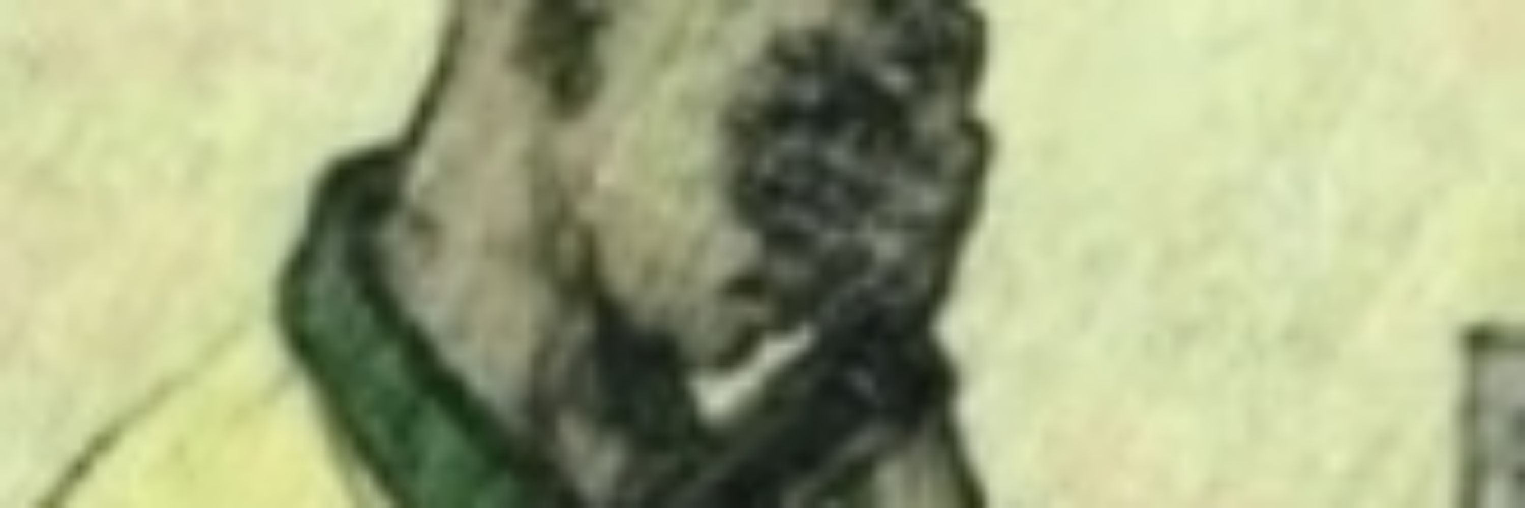 flamenguista