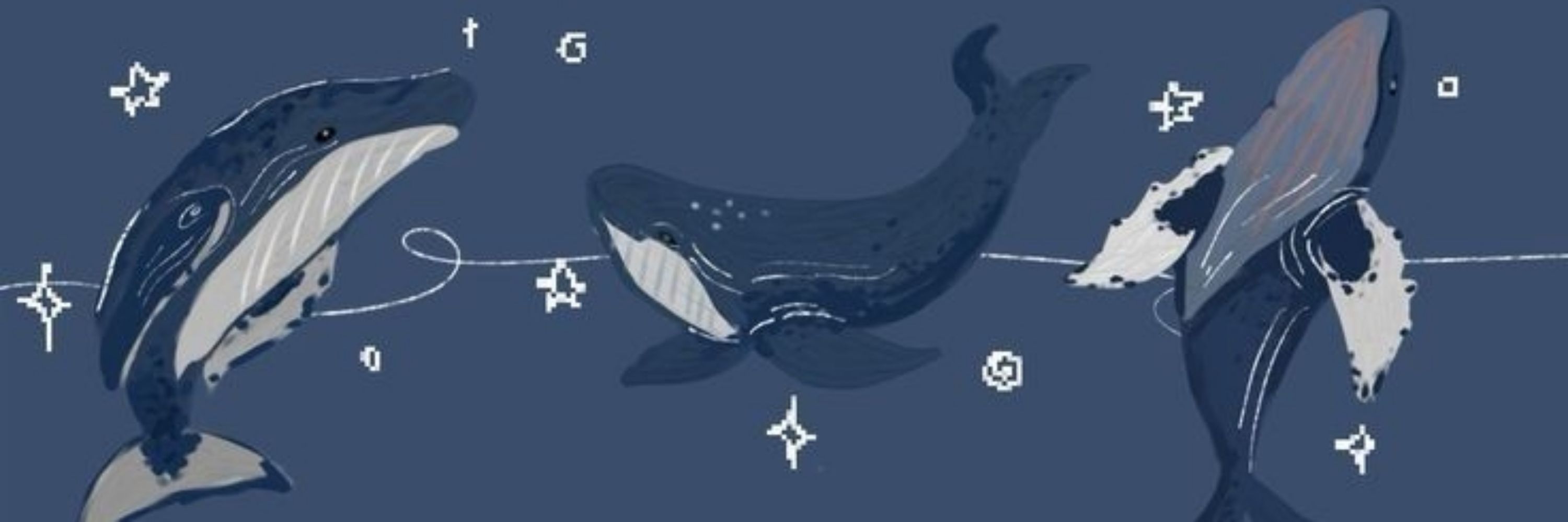 Líro🐳