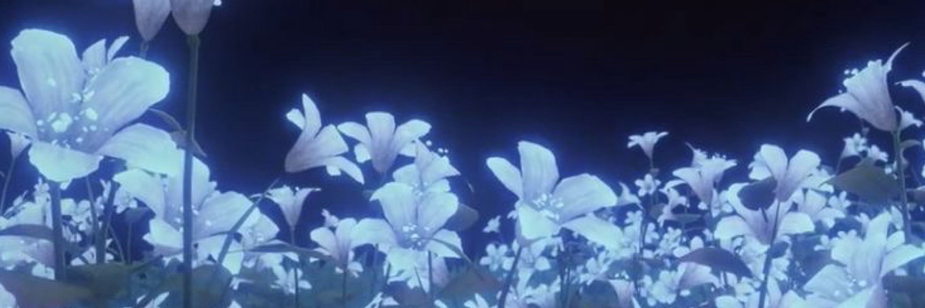 Marí-sol