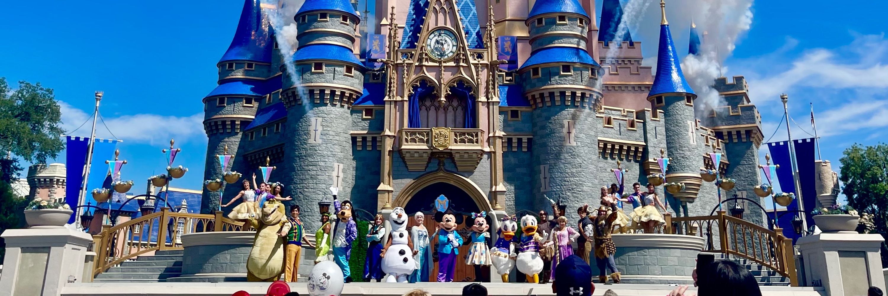 WDWJC