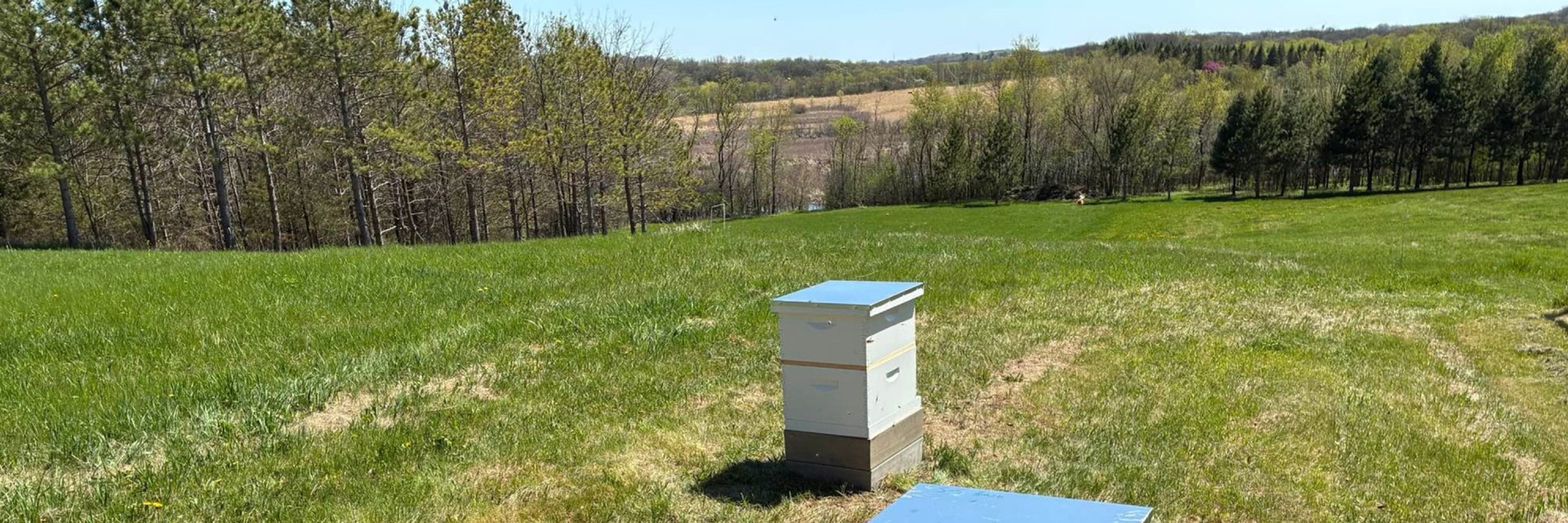 New(Bee)²Keeper