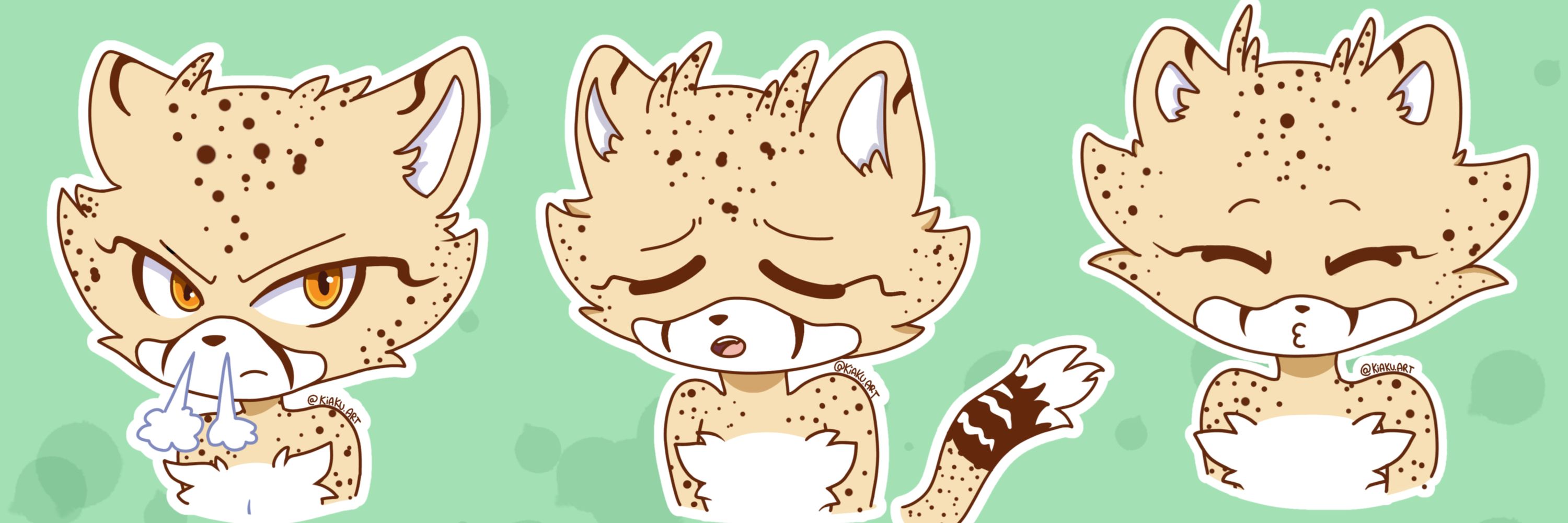 ⭐Dash Cheddar Cheetah⭐