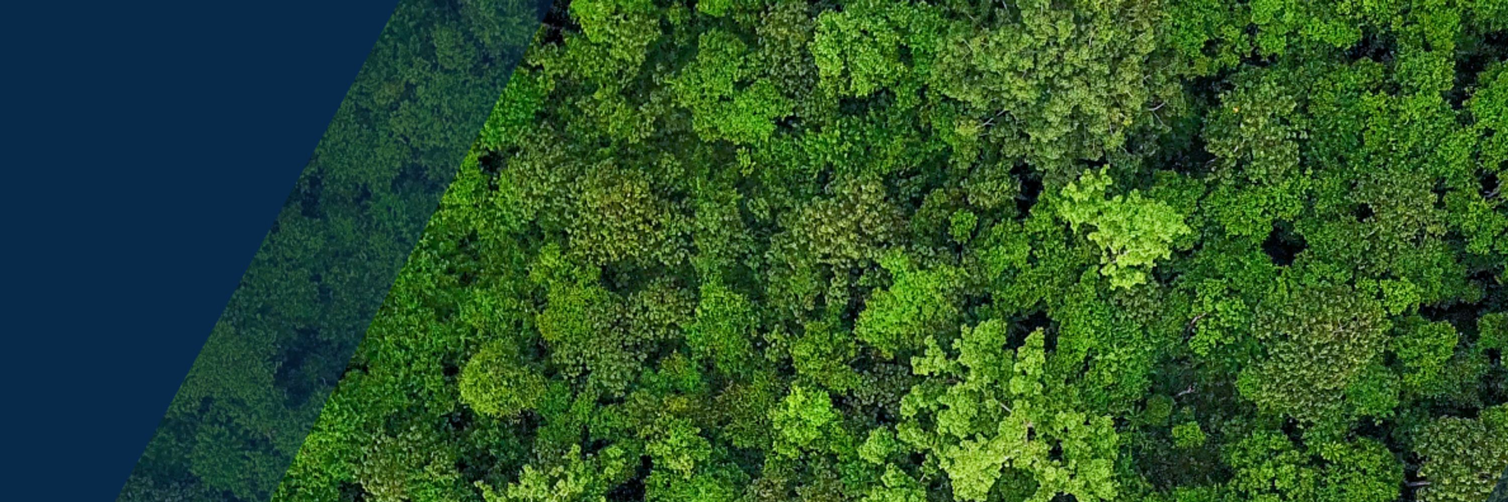 Verra - Standards for a Sustainable Future