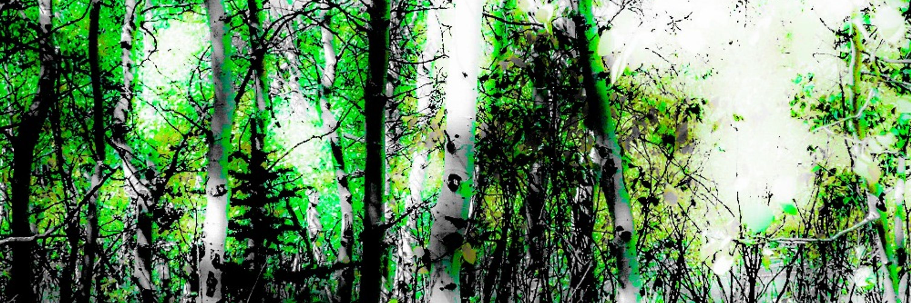 Jeffrey Spahr-Summers