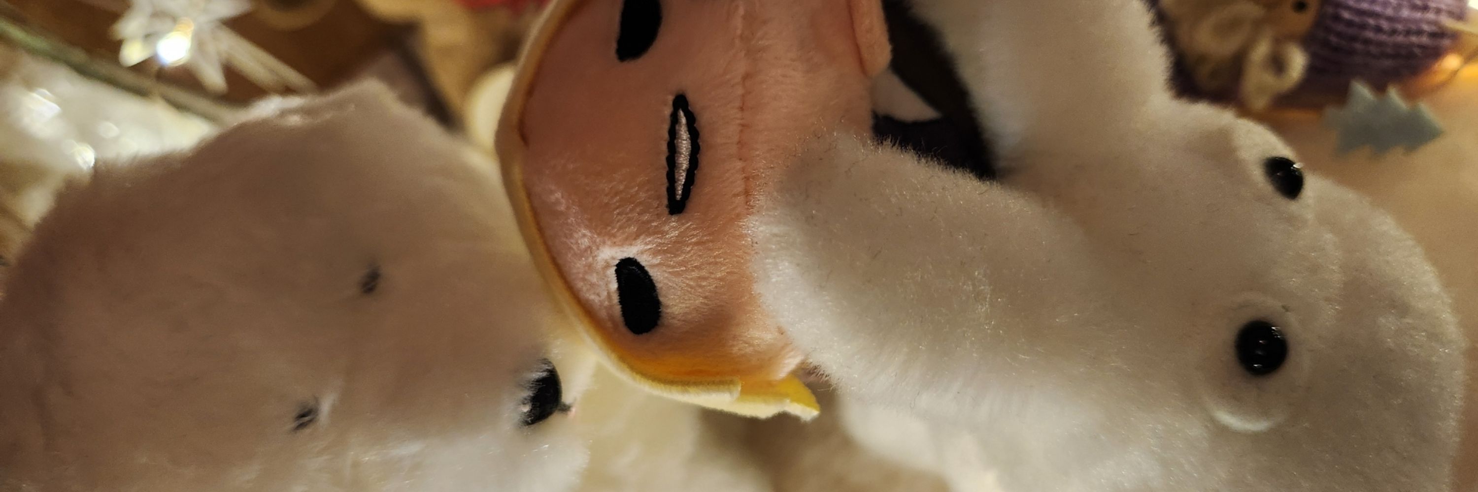 さのつき