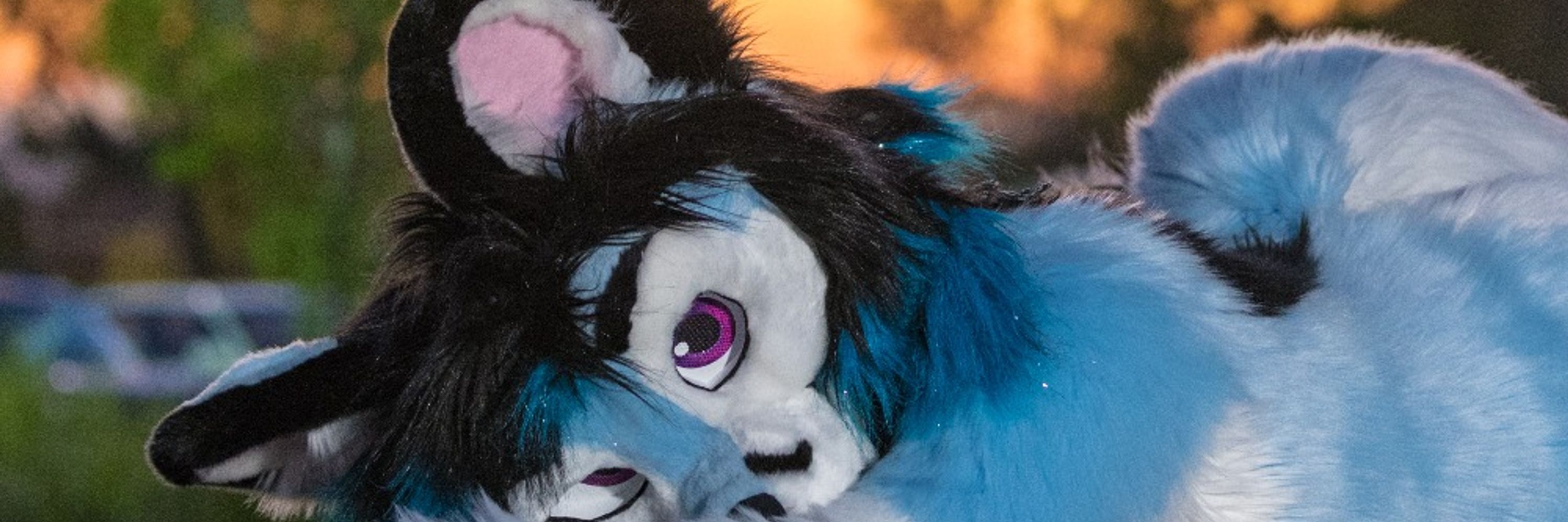 Frisky Folf