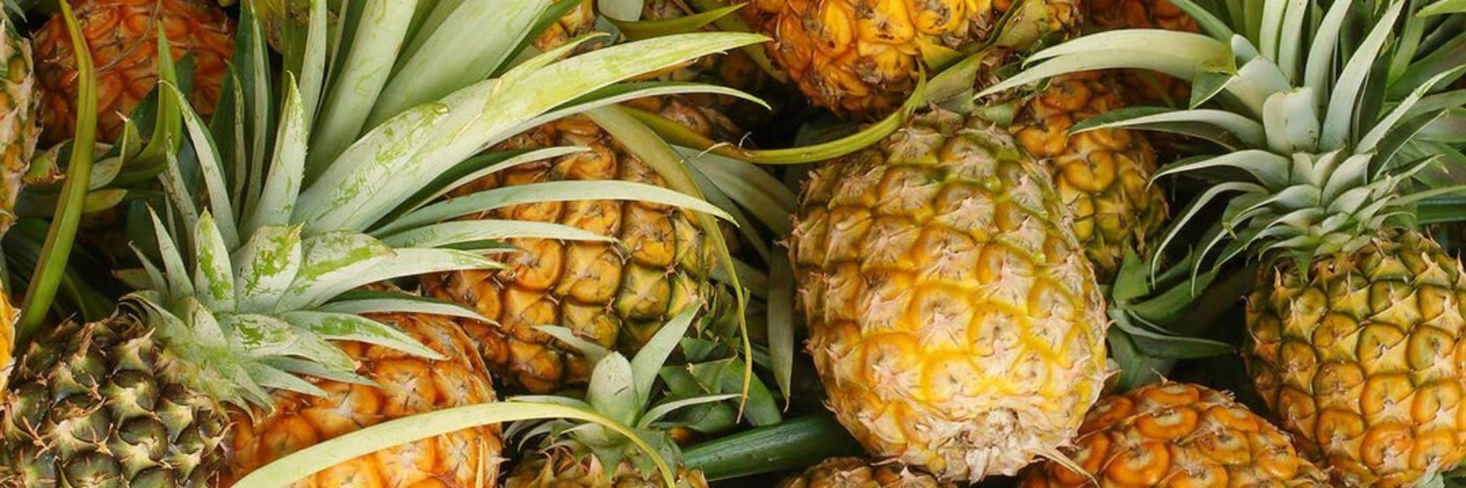 the pineapple