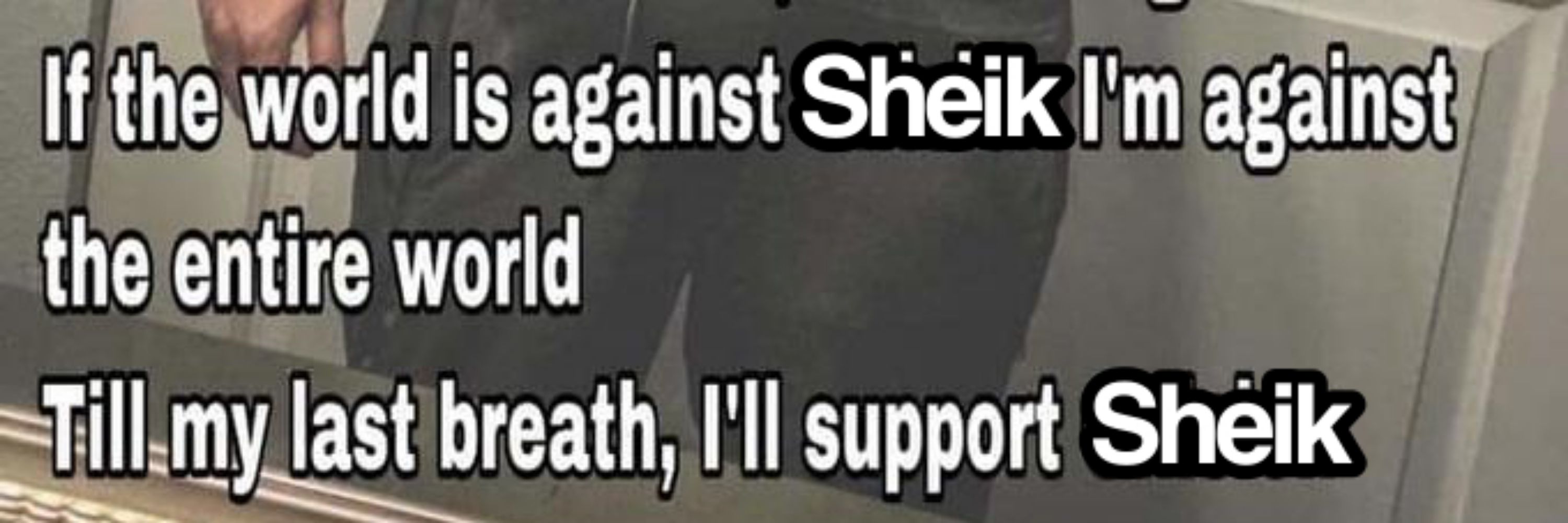 sheiksleopardthong