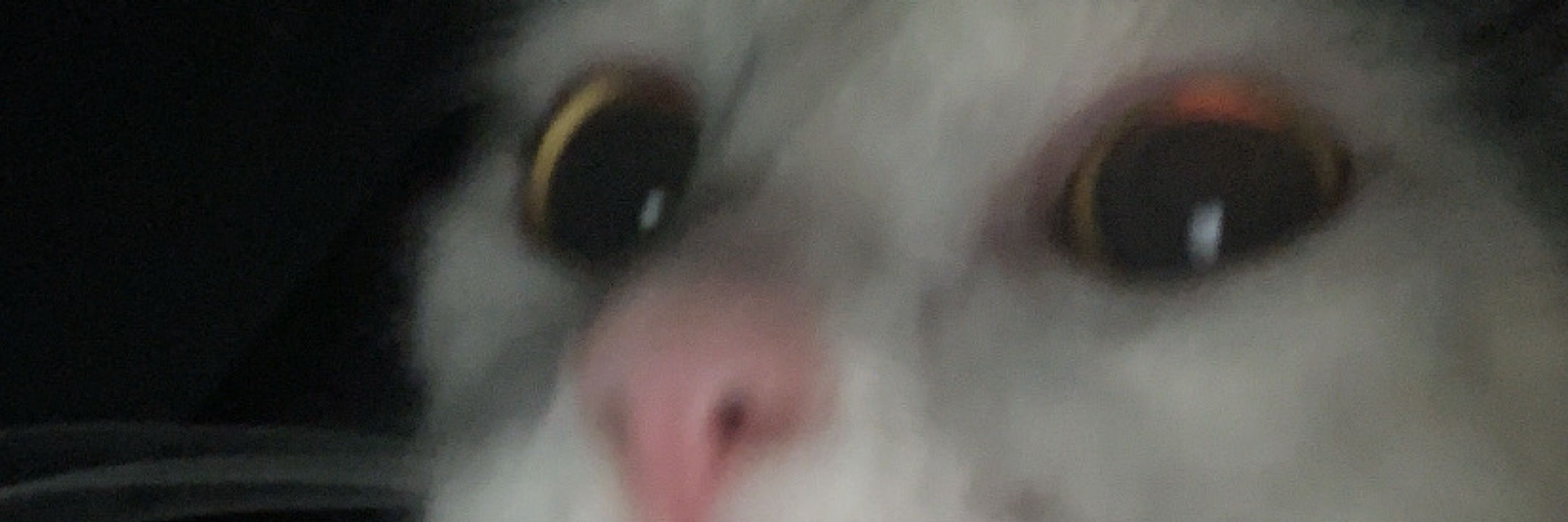 pam