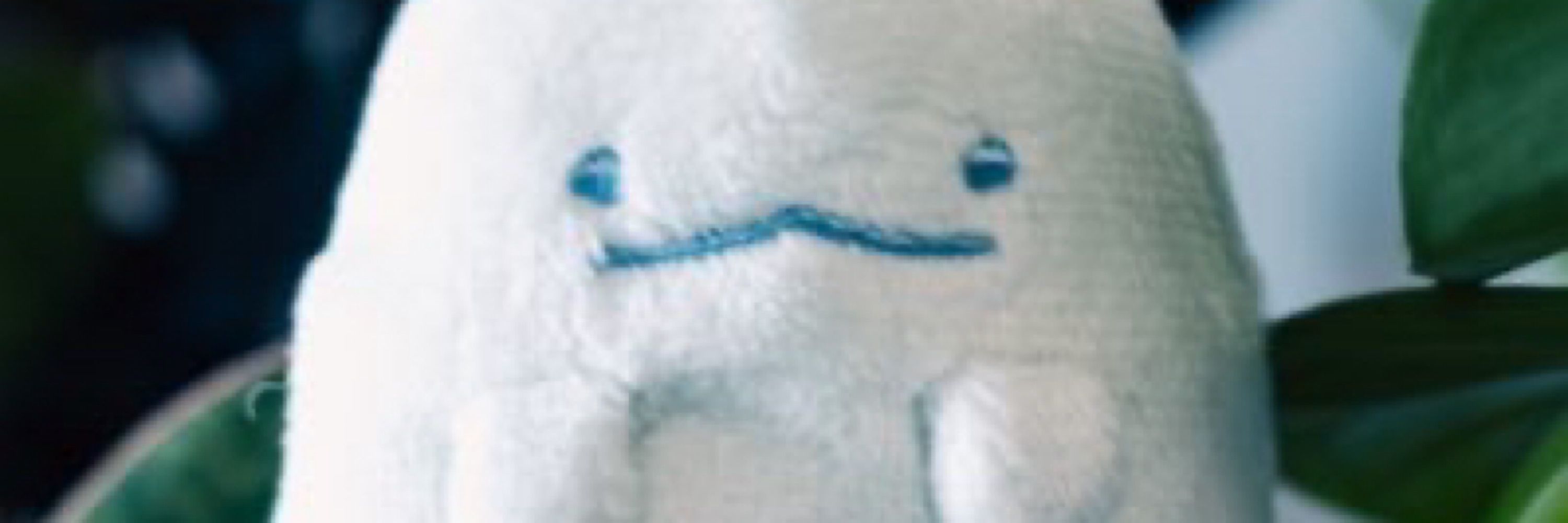 なりたし