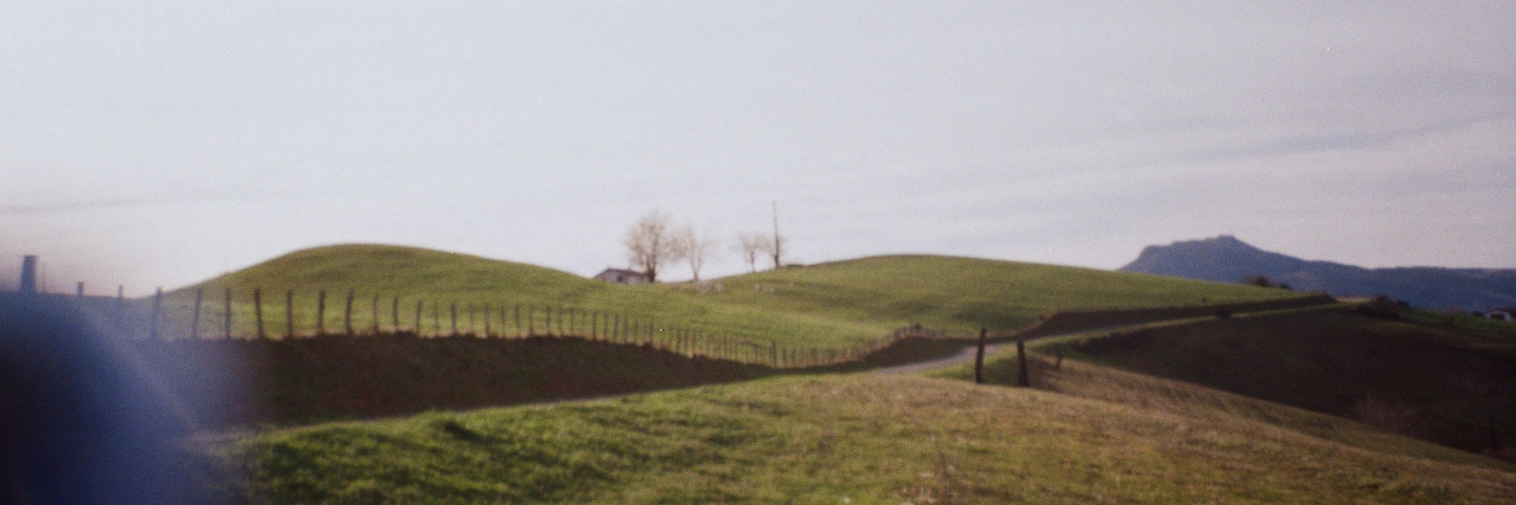 silvi