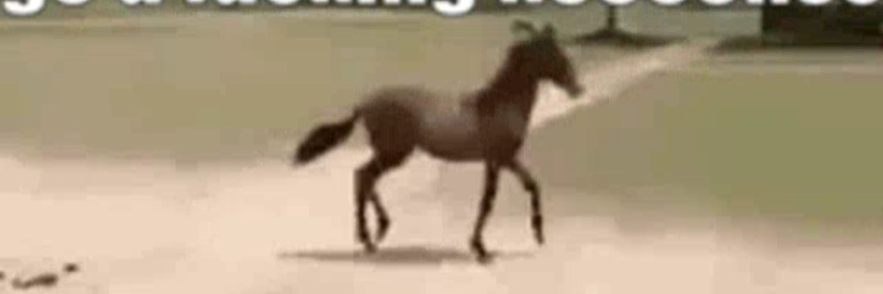 gundt