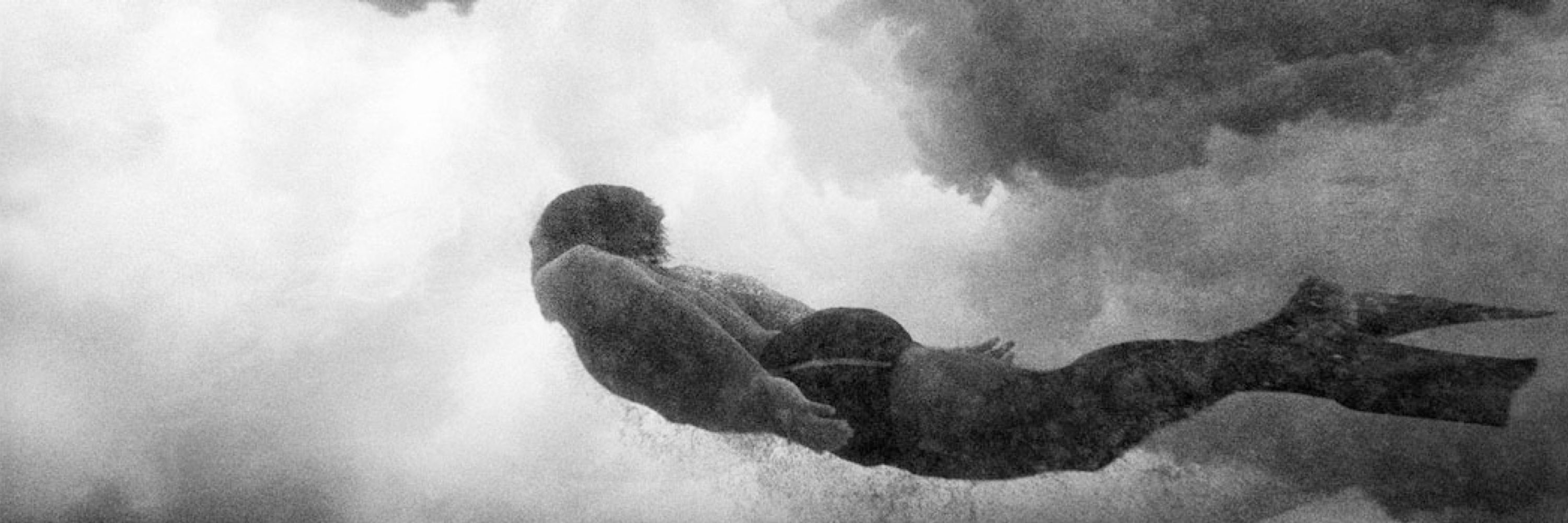Wayne Levin