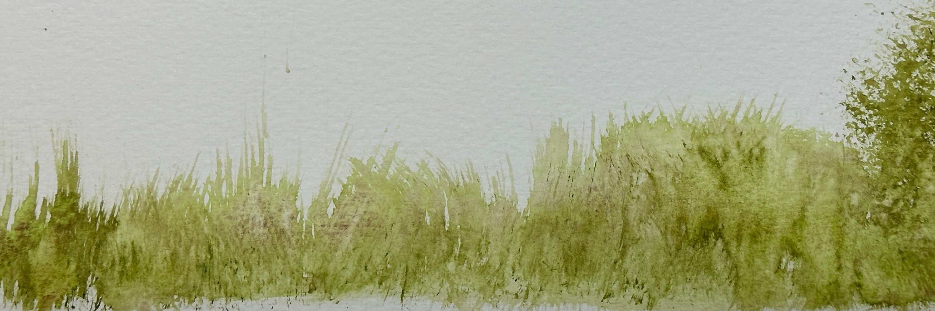 hepaintswithwatercolor