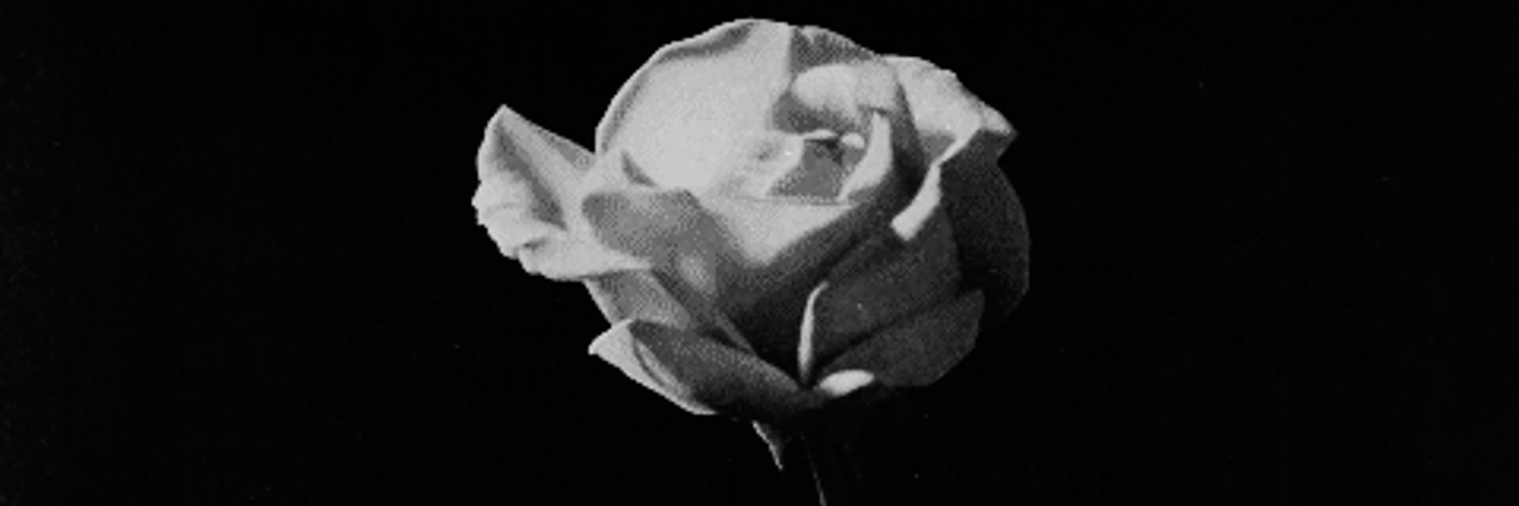 ~` 𝔑𝔞𝔱 ~࣪ ִֶָ☾.