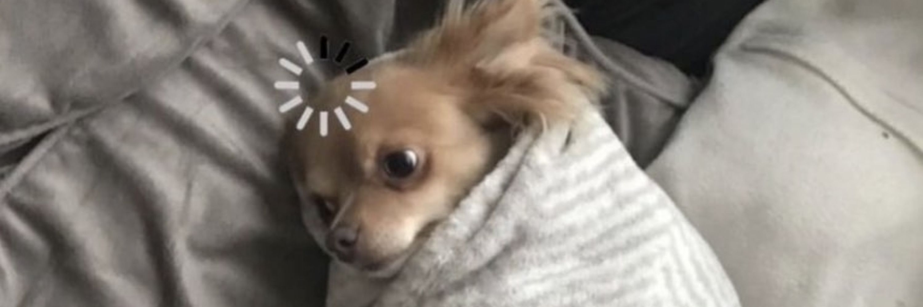 cute.jpg