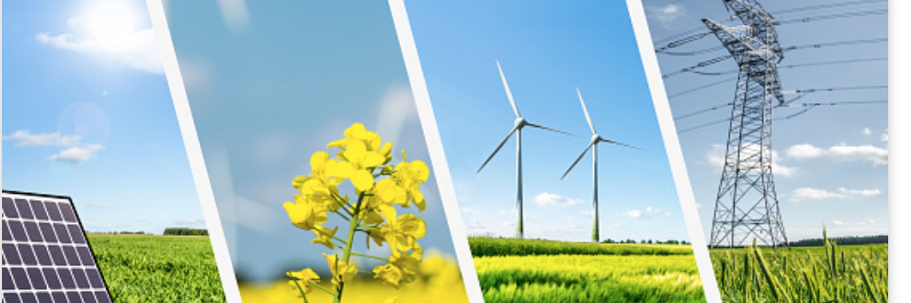 Virginia Grassroots Coalition - Climate