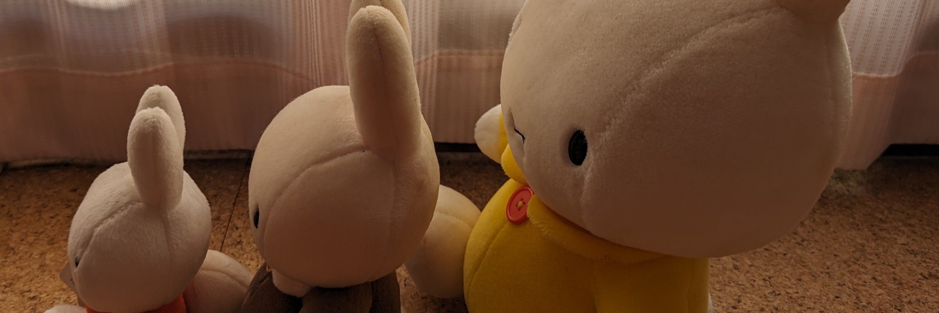 いくちぃ