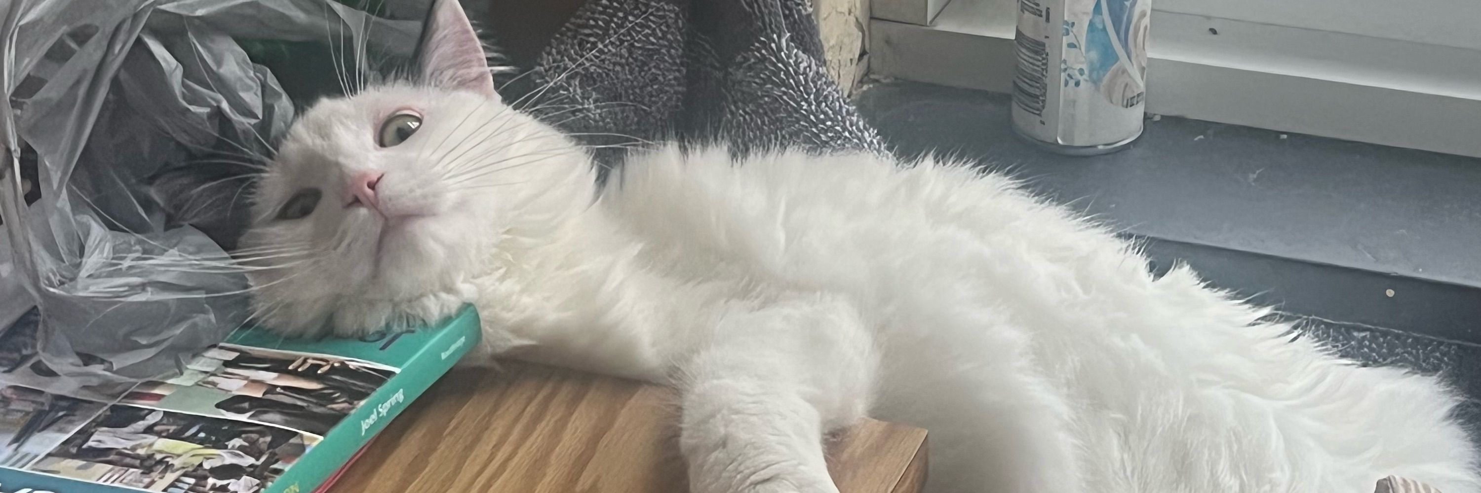 Teagan