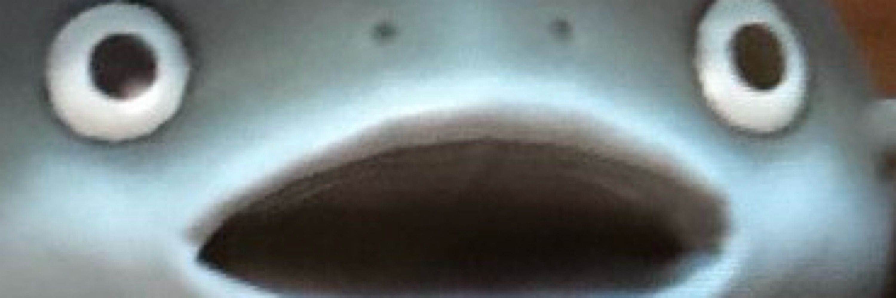 Homan