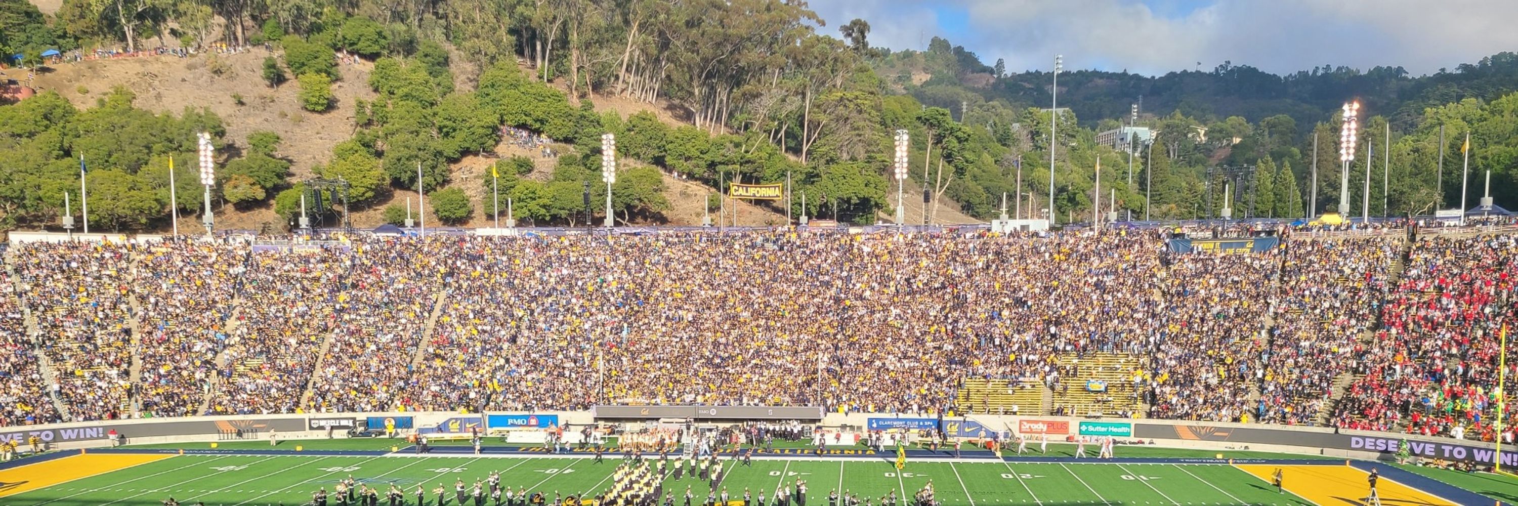 Cal Bear Fan Steve