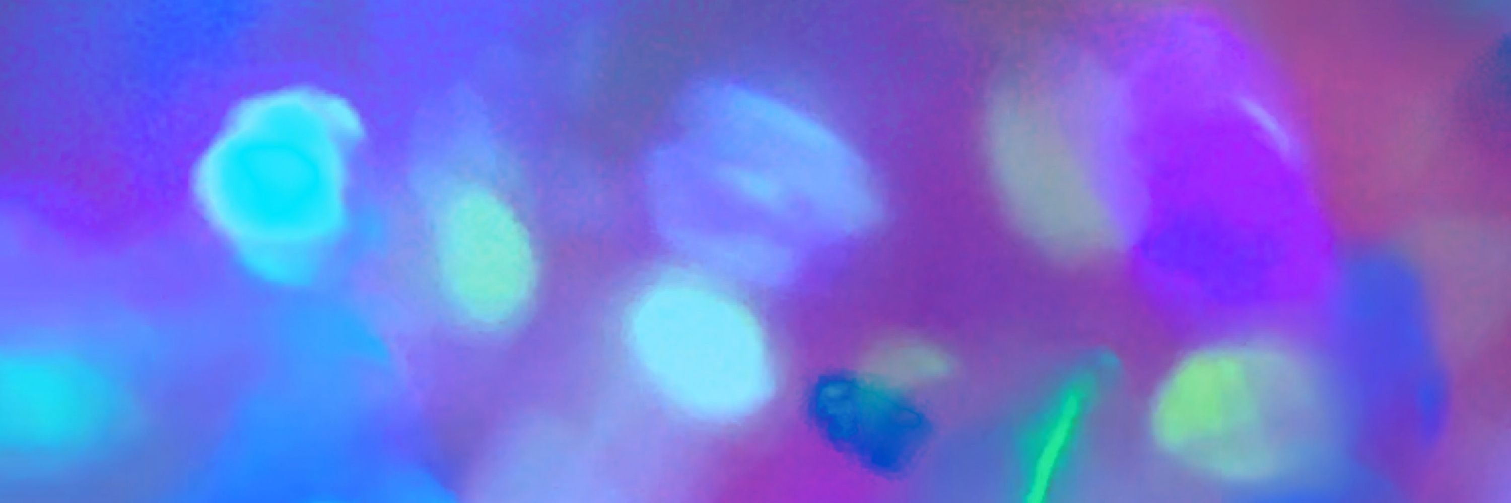 Lucid Letters