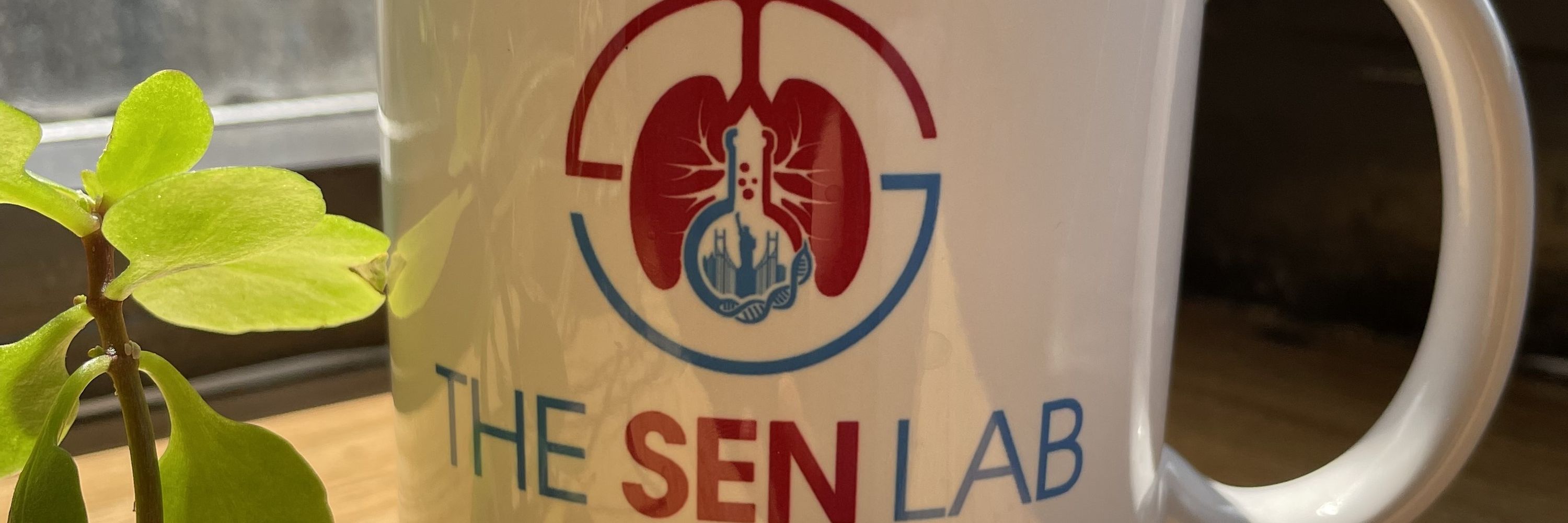 Triparna Sen (Sen Lab)