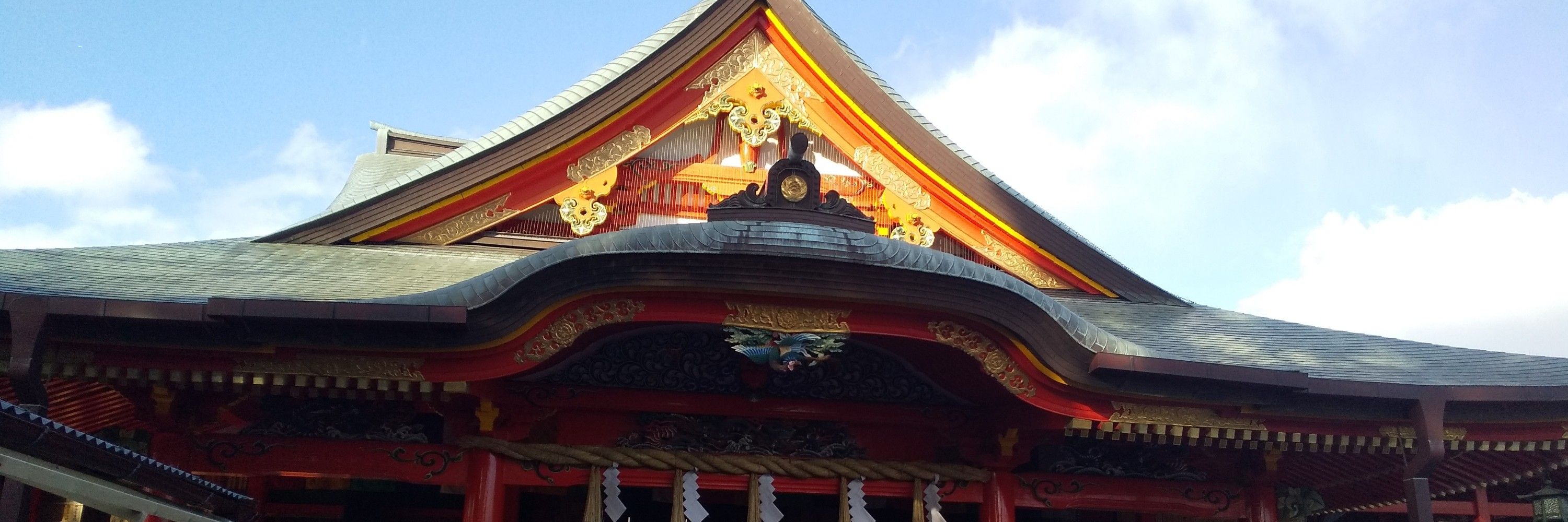 猫田宵弛｜NecodaYoichi