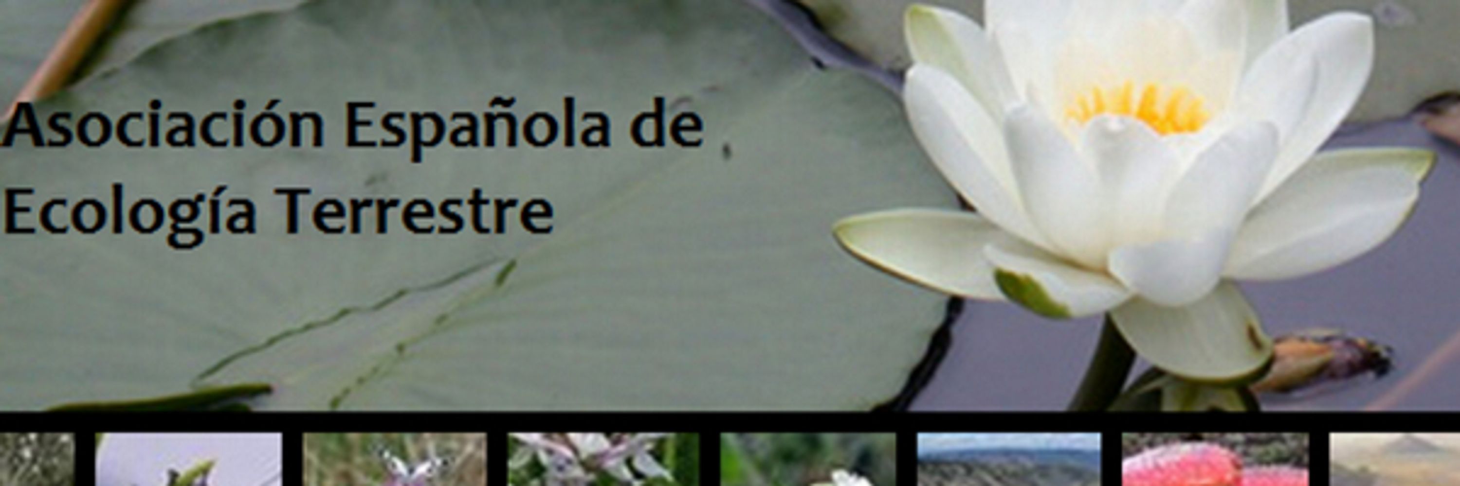 Ecoinformática AEET