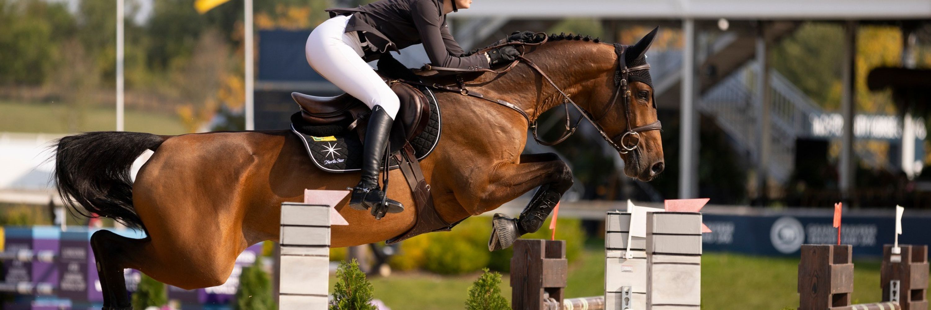 Traverse City Horse Shows