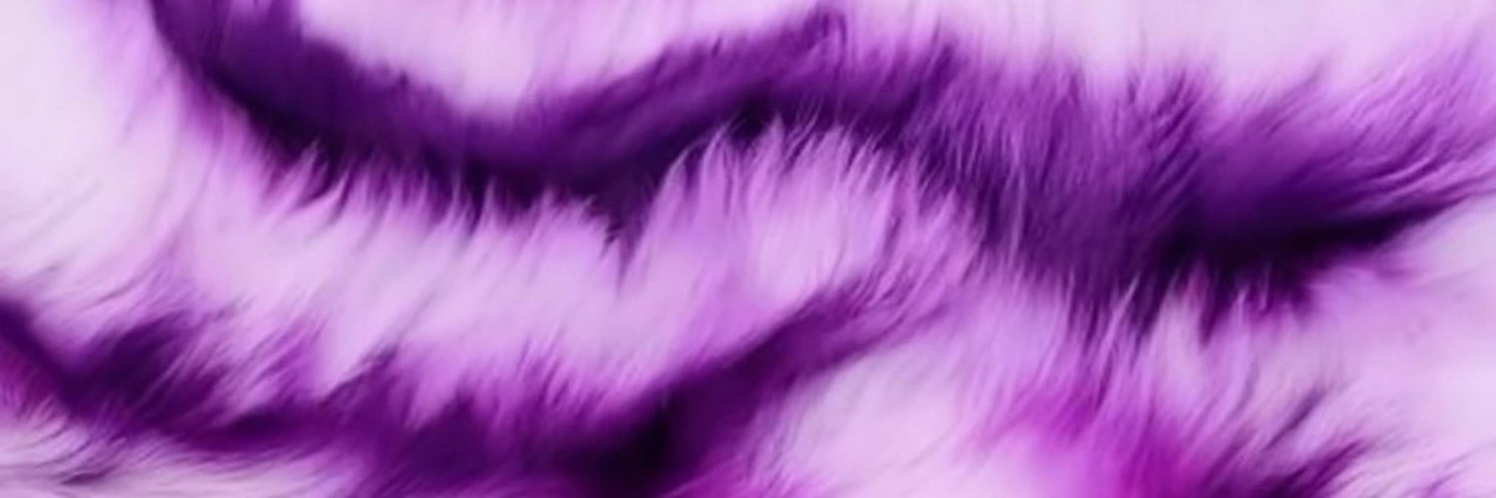 nꪜ⁷