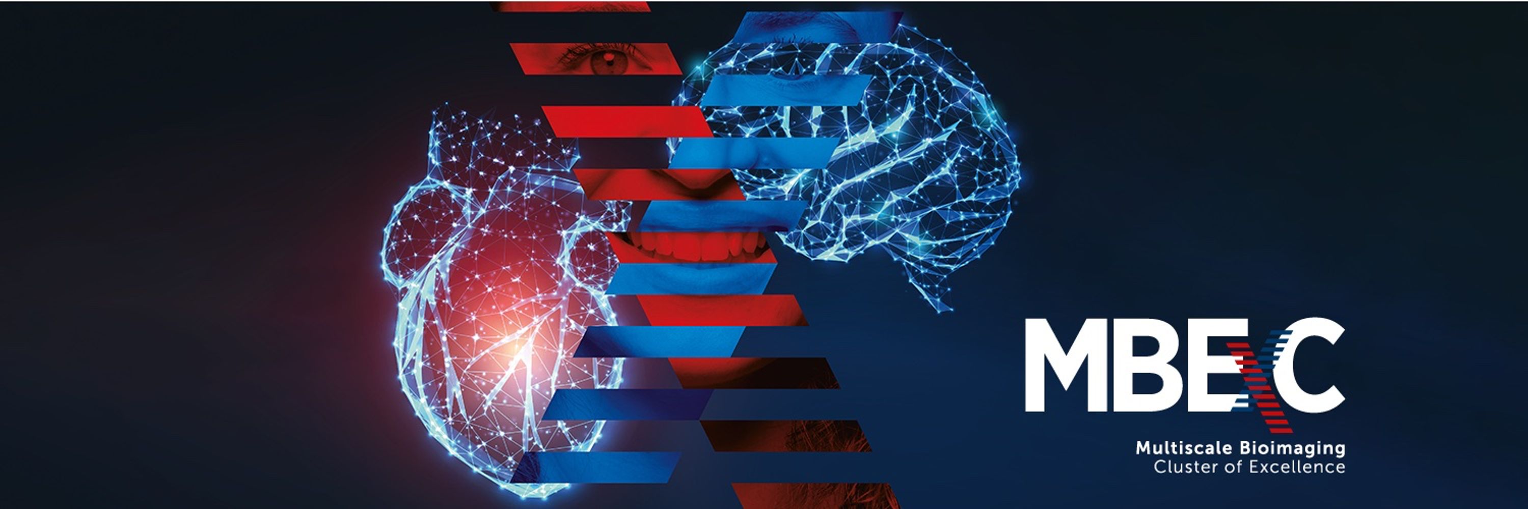 Multiscale Bioimaging (MBExC)